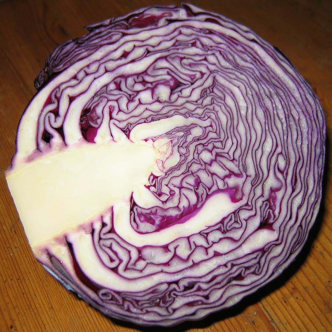 Imagine pentru Varză: Red cabbage