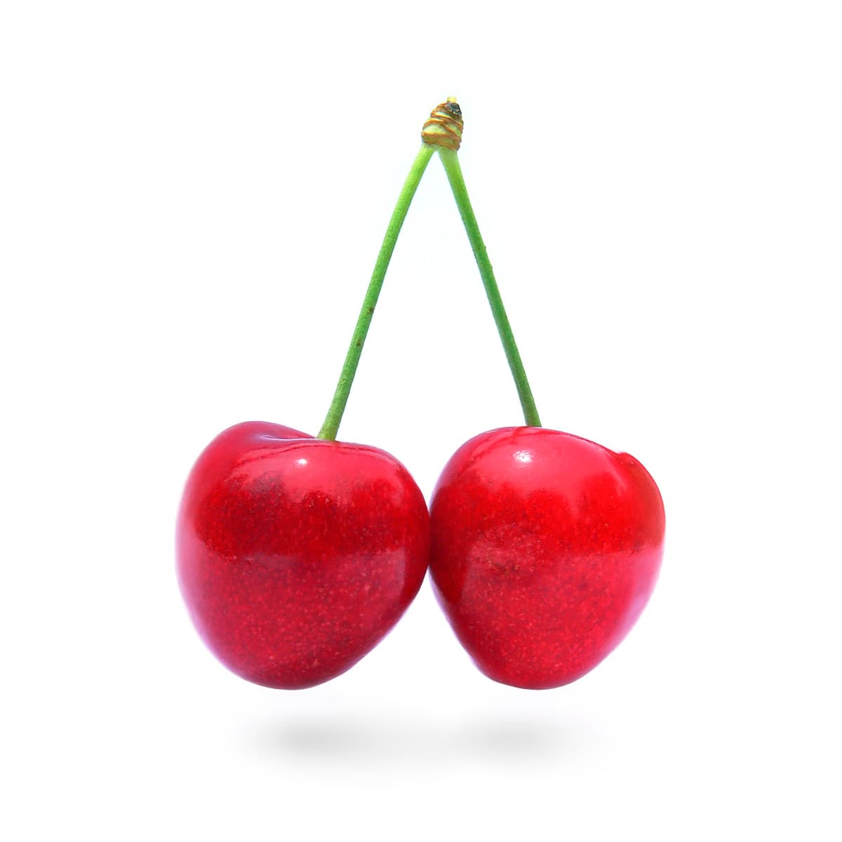 Imagine cu cireșe pe pom pentru ghidul AgroDex despre cultura cireșului