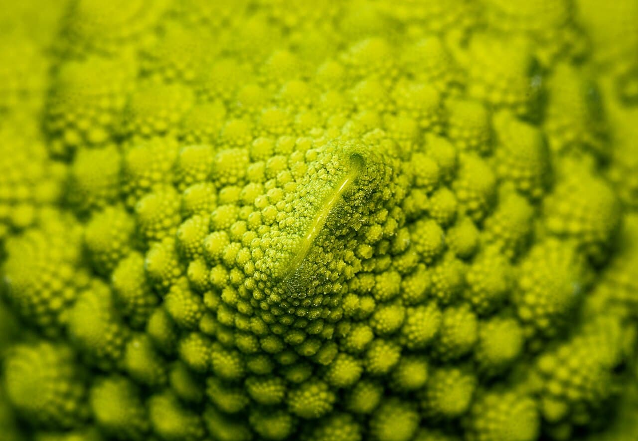 Imagine pentru Broccoli: Romanesco -- 2021 -- 5765