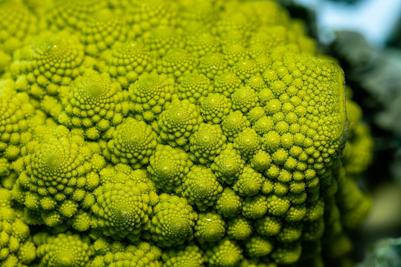 Imagine pentru Broccoli: Romanesco -- 2021 -- 5768